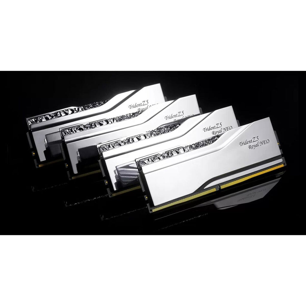 RAM Memory GSKILL-1