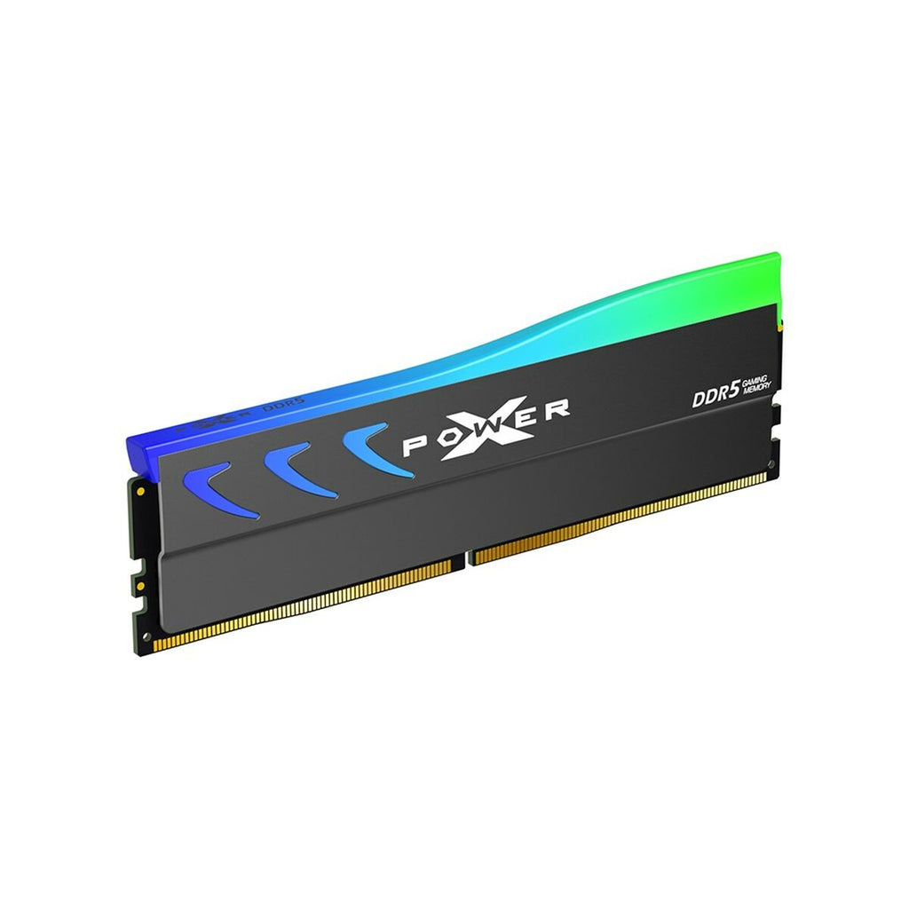 RAM Memory Silicon Power SP064GXLWU60BFDK-4