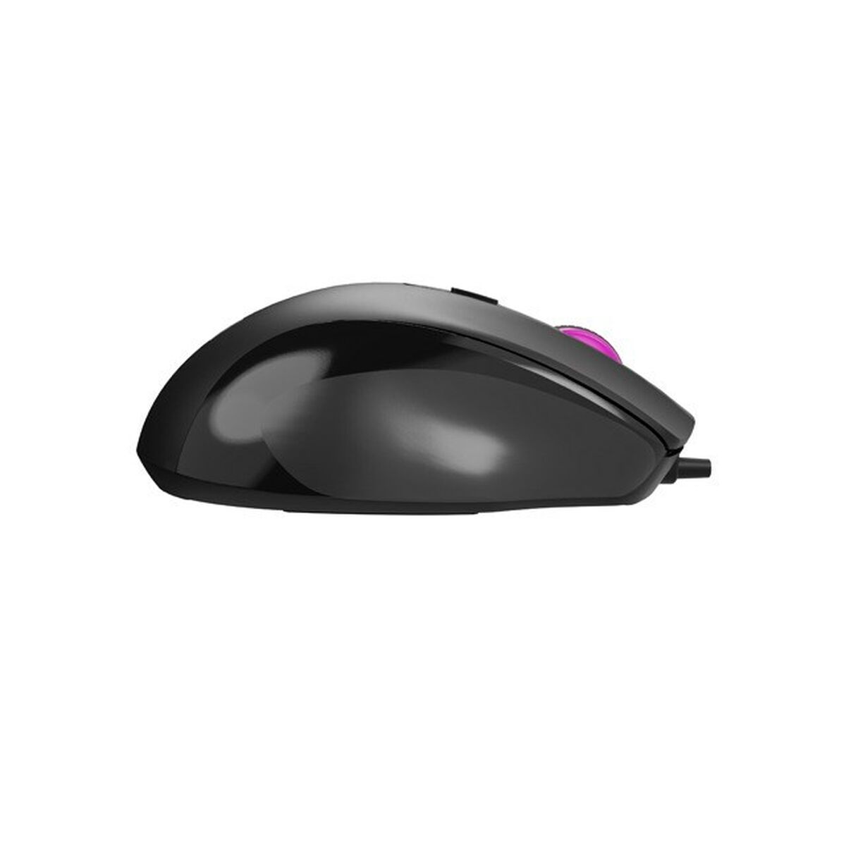 Mouse Natec-10