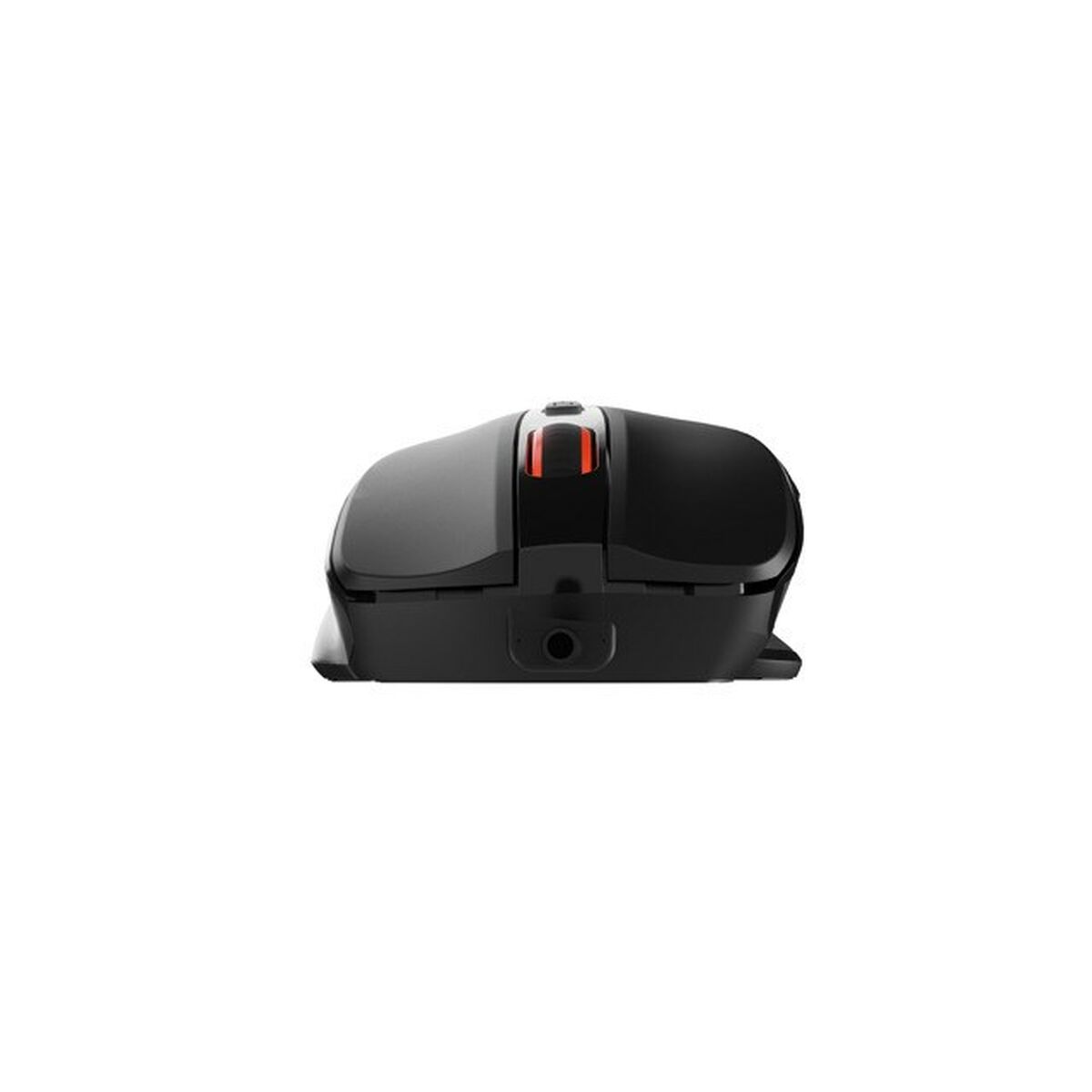 Mouse Natec-5