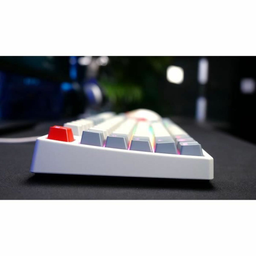 Keyboard and Mouse Cherry-3