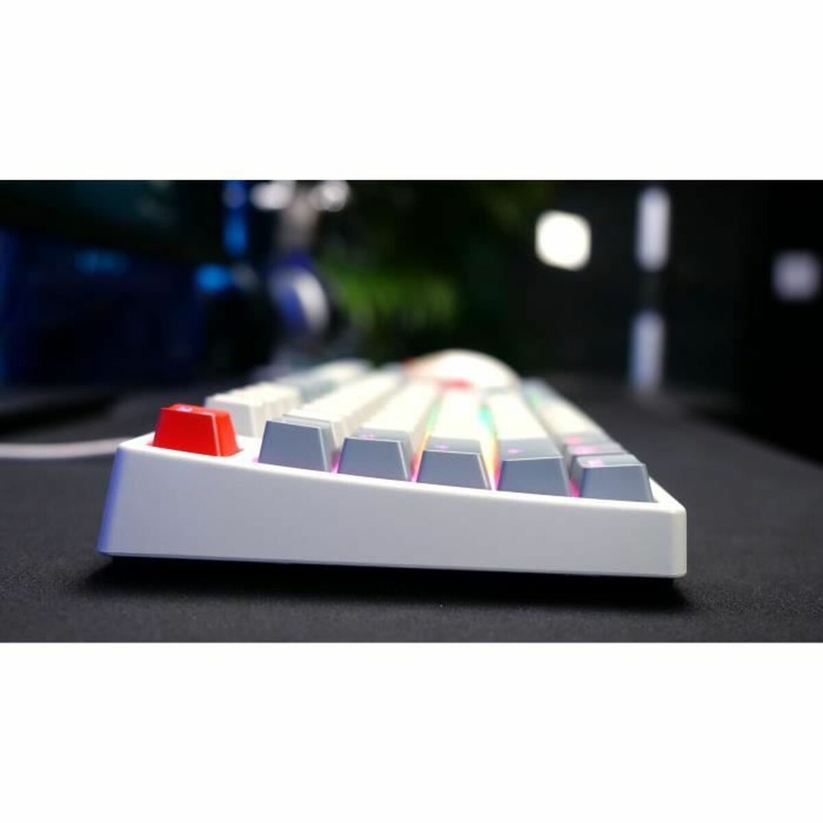 Keyboard and Mouse Cherry-3
